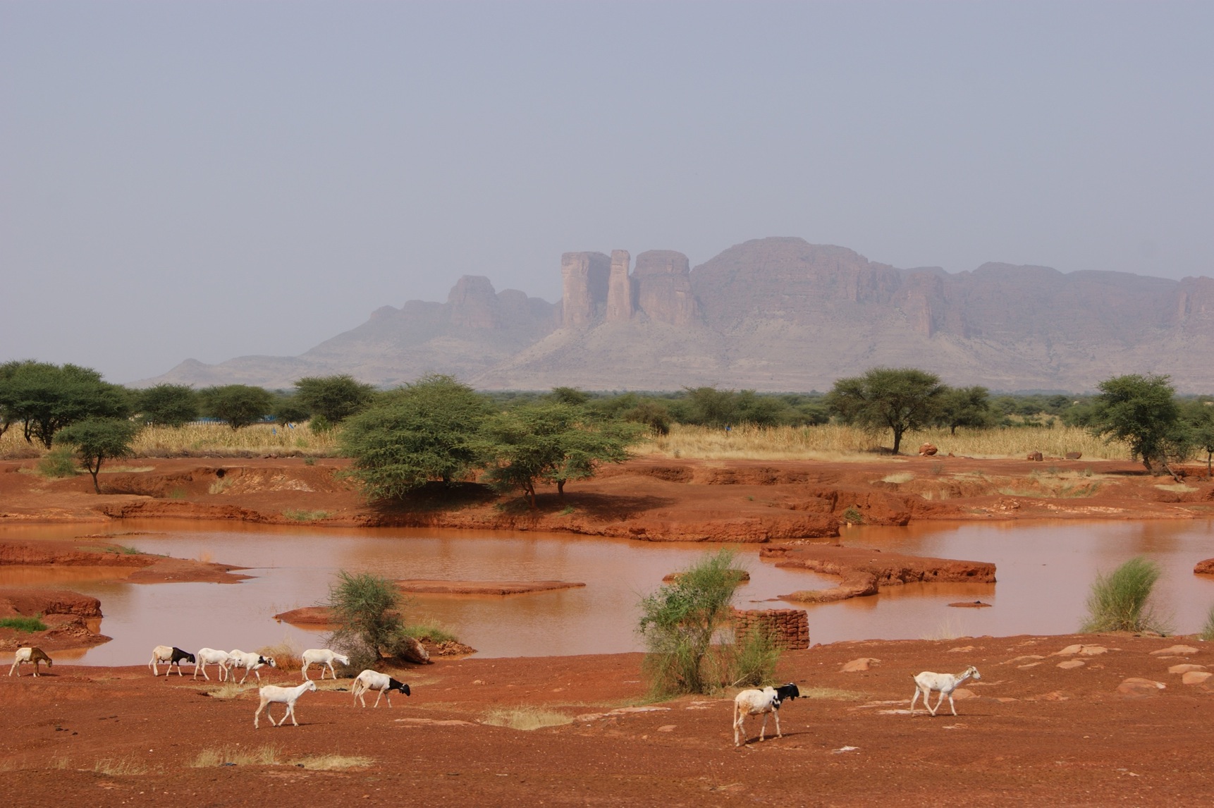 Sahel en època de pluges